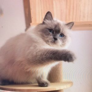 Meet your Posher, Jan